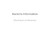 Bacteria Information Also known as Monerans. Definition / Characteristics Unicellular (one-celled) Prokaryote (no nucleus) Some are good and some are.