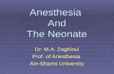 Anesthesia And The Neonate Dr: M.A. Zaghloul Prof. of Anesthesia Ain-Shams University.