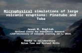 Microphysical simulations of large volcanic eruptions: Pinatubo and Toba Jason M. English National Center for Atmospheric Research (LASP/University of.