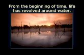 From the beginning of time, life has revolved around water.