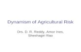 Dynamism of Agricultural Risk Drs. D. R. Reddy, Amor Ines, Sheshagiri Rao.