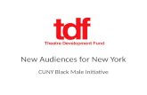New Audiences for New York CUNY Black Male Initiative.