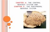 CHAPTER 4: THE CENTRAL NERVOUS SYSTEM AND CHAPTER 5: THE PERIPHERAL NERVOUS SYSTEM.