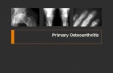 Primary Osteoarthritis. Primary Osteoarthritis (OA): Outline  Overview  Epidemiology  Pathogenesis  Genetics  Clinical Features  Imaging  Management.