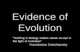 Evidence of Evolution "Nothing in biology makes sense except in the light of evolution" T heodosius Dobzhansky.