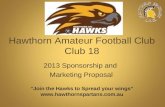 Hawthorn Amateur Football Club Club 18 2013 Sponsorship and Marketing Proposal “Join the Hawks to Spread your wings” .