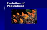 Evolution of Populations. How Common Is Genetic Variation? Many genes have at least two forms, or alleles. Many genes have at least two forms, or alleles.