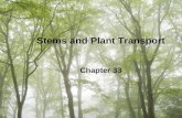 Stems and Plant Transport Chapter 33. Stem Functions Support leaves and reproductive structures –Allow leaves to absorb sunlight needed for photosynthesis.