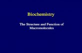 Biochemistry The Structure and Function of Macromolecules.