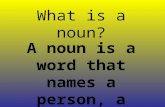 What is a noun? A noun is a word that names a person, a place, or a thing.