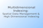 Multidimensional Indexing: Spatial Data Management & High Dimensional Indexing.