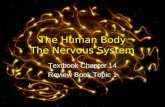 The Human Body The Nervous System Textbook Chapter 14 Review Book Topic 1.