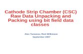 Cathode Strip Chamber (CSC) Raw Data Unpacking and Packing using bit field data classes Alex Tumanov, Rick Wilkinson September 2007.