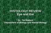 HISTOLOGY REVIEW Eye and Ear Dr. Tim Ballard Department of Biology and Marine Biology.