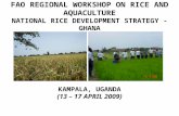 FAO REGIONAL WORKSHOP ON RICE AND AQUACULTURE NATIONAL RICE DEVELOPMENT STRATEGY - GHANA KAMPALA, UGANDA (13 – 17 APRIL 2009)