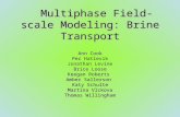 Multiphase Field-scale Modeling: Brine Transport Ann Cook Per Per Hatlevik Jonathan Levine Brice Loose Keegan Roberts Amber Sallerson Katy Schulte Martina.