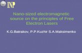 Nano-sized electromagnetic source on the principles of Free Electron Lasers K.G.Batrakov, P.P.Kuzhir S.A.Maksimenko.