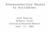 Stereoselective Routes to Aziridines Nate Bowling McMahon Group University of Wisconsin-Madison Sept. 12, 2002.
