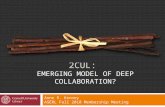 2CUL: EMERGING MODEL OF DEEP COLLABORATION? Anne R. Kenney ASERL Fall 2010 Membership Meeting.
