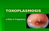 TOXOPLASMOSIS A Risk In Pregnancy. What is Toxoplasmosis?  It is an infection caused by the parasite Toxoplasma gondii.