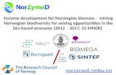 Enzyme development for Norwegian biomass – mining Norwegian biodiversity for seizing opportunities in the bio-based economy (2012 – 2017, 55 MNOK) norzymed.nmbu.no.
