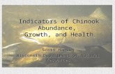 Indicators of Chinook Abundance, Growth, and Health Scott Hansen Wisconsin Department of Natural Resources.