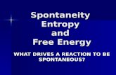 Spontaneity Entropy and Free Energy WHAT DRIVES A REACTION TO BE SPONTANEOUS?