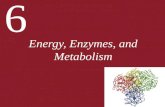 6 Energy, Enzymes, and Metabolism. 6 Energy, Enzymes, and Metabolism 6.1 What Physical Principles Underlie Biological Energy Transformations? 6.2 What.