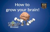How to grow your brain! Mindset. Hello! Important Announcements Playground Behaviour Lunch Routine First Aid Toilets Line Points Wet Plays.