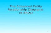 1 The Enhanced Entity Relationship Diagrams (E-ERDs)