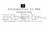 Introduction to DNA Computing Russell Deaton Electrical Engineering The University of Memphis Memphis, TN 38152 rjdeaton@memphis.edu Stephen A. Karl Department.