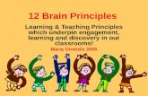 12 Brain Principles Learning & Teaching Principles which underpin engagement, learning and discovery in our classrooms! Maria Gindidis 2006.