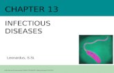 Kelas Berrtaraf Internasional SMAK PENABUR Gading Serpong 2012/2013 INFECTIOUS DISEASES CHAPTER 13 Leonardus, S.Si.