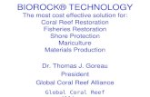 Global Coral Reef Alliance BIOROCK® TECHNOLOGY The most cost effective solution for: Coral Reef Restoration Fisheries Restoration Shore Protection Mariculture.