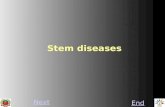 Next End Stem diseases. Next PreviousEnd INTRODUCTION:  Stem diseases are the diseases that infect the stem portion.  E.g. dieback, pink disease and.