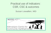 Practical use of indicators: CSR, CSC & outcomes Susan Lewallen, MD.