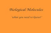 Biological Molecules ‘what you need to know!’. MONOMER – single repeating units that…… ……are joined together to form POLYMER.
