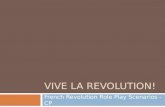 VIVE LA REVOLUTION! French Revolution Role Play Scenarios - CP.