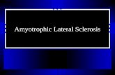 Amyotrophic Lateral Sclerosis. Motor Neuron Disease Terminology Lower motor neuron Upper motor neuron Progressive Muscular Atrophy Amyotrophic Lateral.