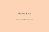Notes 13-2 The Skeletal System. Bones A Newborn has about 275 bones, but an adult has about 206 bones Some bones fuse together as you grow Bones are hard.