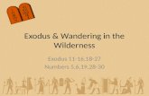 Exodus 11-16,18-27 Numbers 5,6,19,28-30 Exodus & Wandering in the Wilderness.