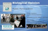 Biological Opinion Public Participation Anne Crealock Senior Environmental Specialist Sonoma County Water Agency Ann DuBay Public Information Officer Sonoma.