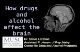 Dr. Steve LaRowe Assistant Professor of Psychiatry Center for Drug and Alcohol Programs How drugs and alcohol affect the brain.