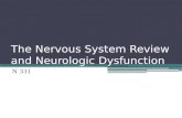 The Nervous System Review and Neurologic Dysfunction N 331.