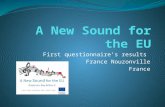 First questionnaire’s results France Nouzonville France.