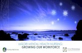 Partnership, Voice & Excellence Te Ao Māramatanga (College of Mental Health Nurses) Māori Caucus Te Rau Matatini- National Māori Health Workforce Development.