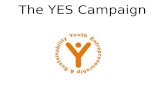 The YES Campaign. Consider this: Global Context World population is now over 6 billion. One billion are young people between the ages of 15 - 24 years,