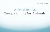 Animal Ethics Campaigning for Animals 30 April 2014.