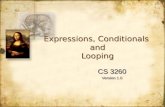 Expressions, Conditionals and Looping CS 3260 Version 1.0 CS 3260 Version 1.0.