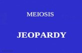 MEIOSIS JEOPARDY S2C06 Jeopardy Review DifferencesVocabulary Mitosis OR Meiosis Picture ID More Vocab 100 200 300 400 500.